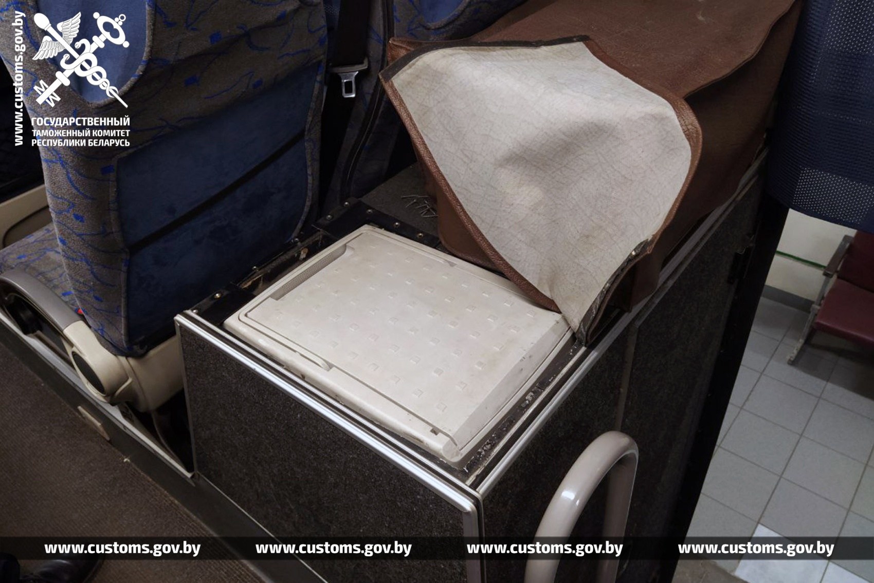 В Беларусь на рейсовом автобусе пытались провезти питонов
