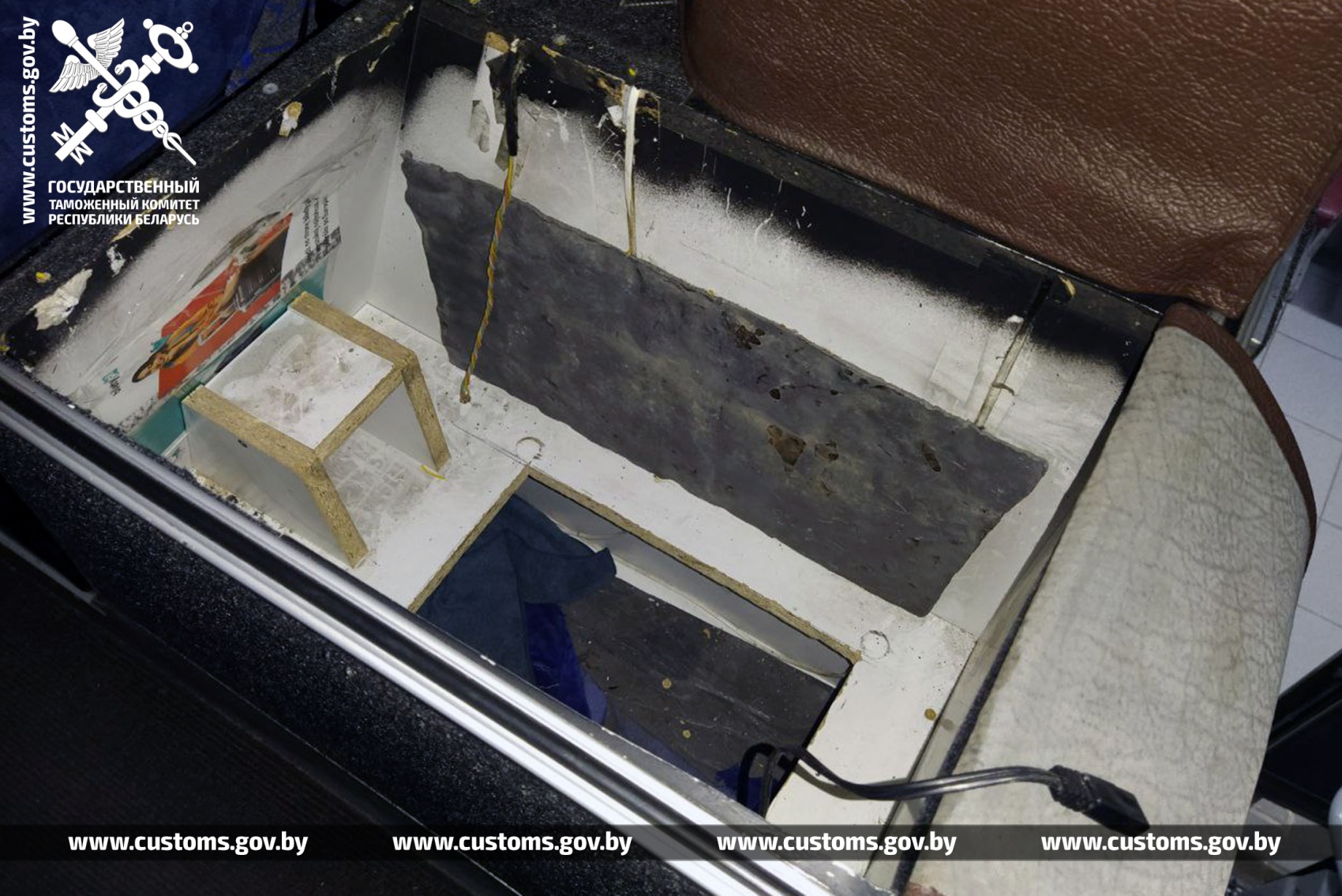 В Беларусь на рейсовом автобусе пытались провезти питонов