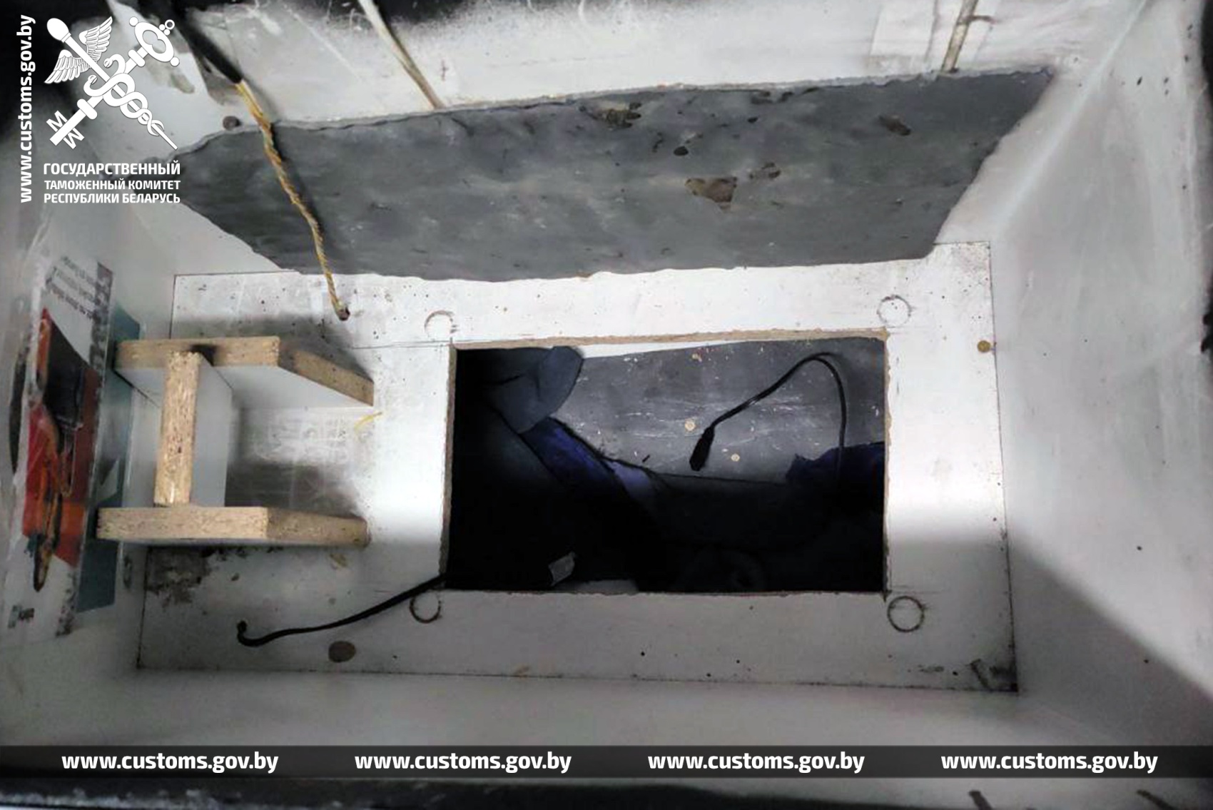 В Беларусь на рейсовом автобусе пытались провезти питонов