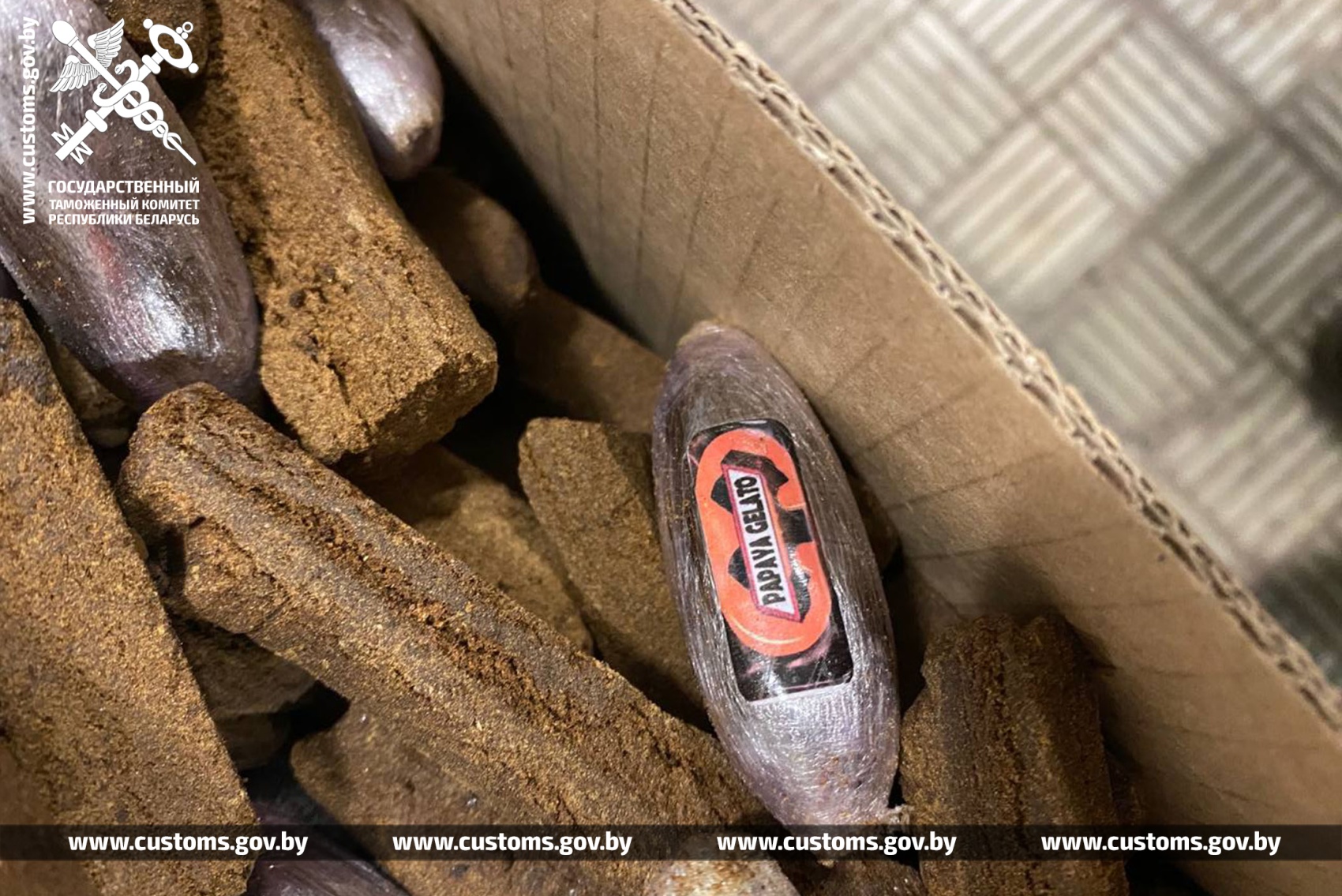 Немец приехал в Беларусь на Opel с газовыми баллонами. Что там было внутри?