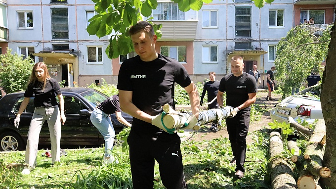 novosti