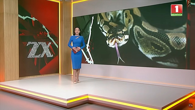 novosti